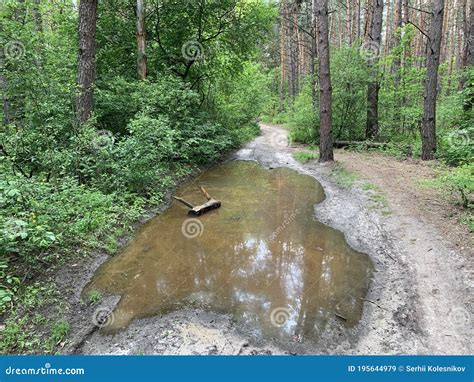 Вода на дороге в соннике: возможные истолкования