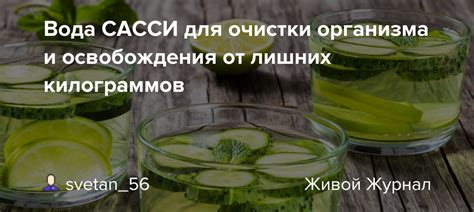 Вода сасси для улучшения пищеварения