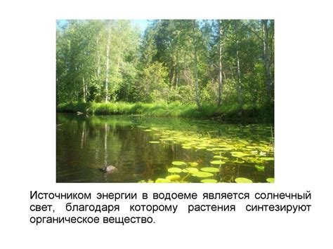 Водные ресурсы и экосистемы