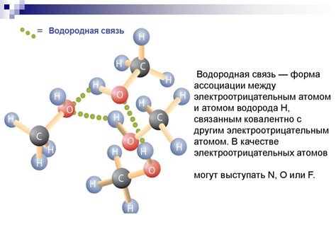 Водородные связи в клеточном метаболизме