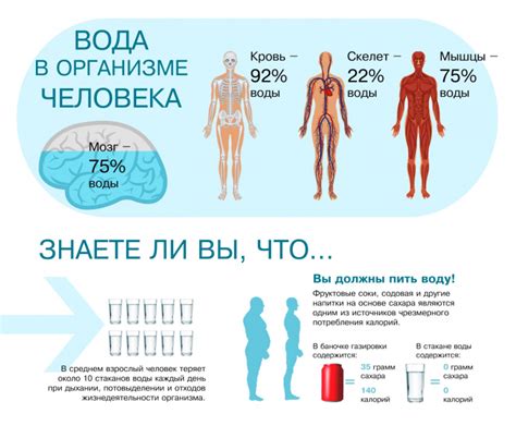 Воздействие воды на организм