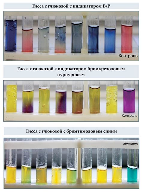 Воздействие наличия варенья на ферментацию