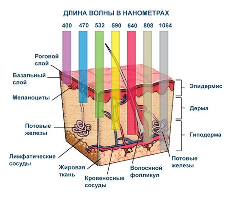 Воздействие на кожу губ