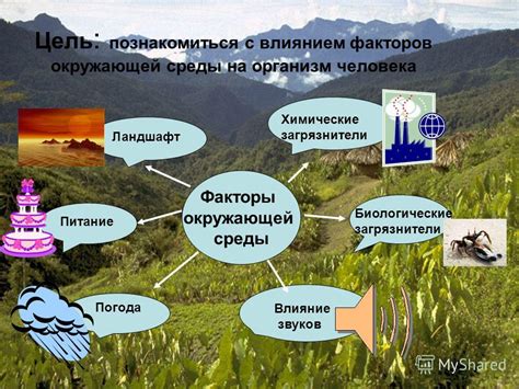 Воздействие на экосистему и биоразнообразие