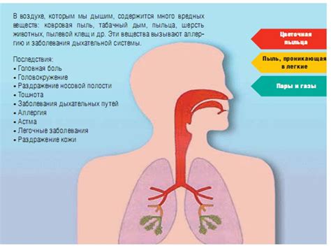 Воздействие чистого воздуха на здоровье легких щенка