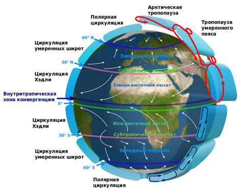 Воздух и циркуляция