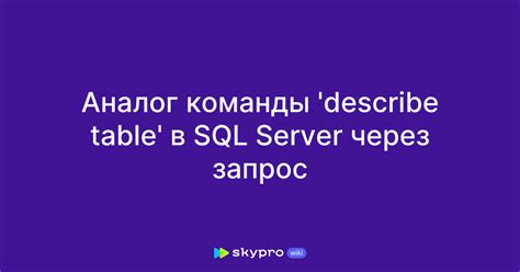 Возможности команды DESCRIBE