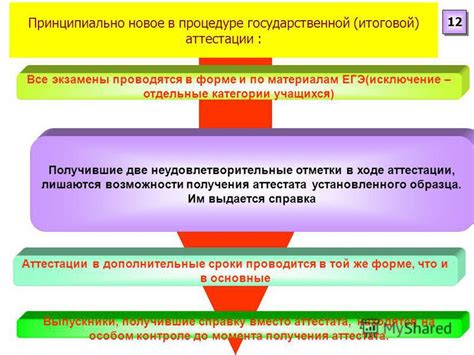 Возможности после получения аттестата