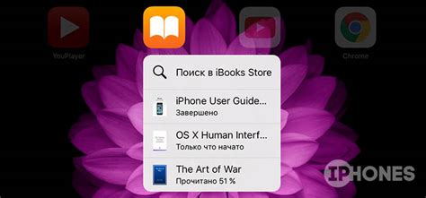 Возможности iBooks