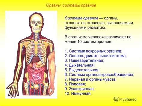 Возможные повреждения органов и систем организма