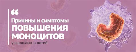 Возможные последствия повышения моноцитов