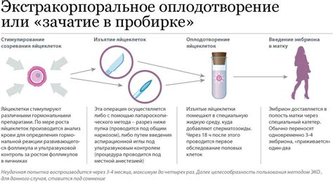 Возможные причины отсутствия выделений после переноса эмбрионов