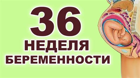 Возможные причины родов до 40 недель