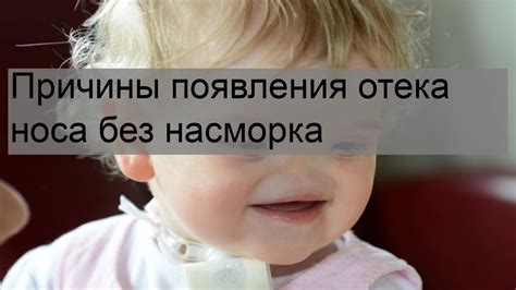 Возможные причины сухого носа у коровы