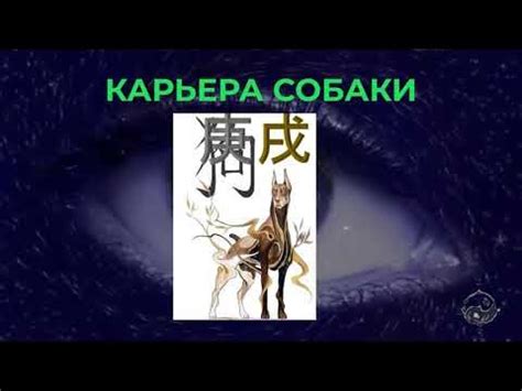 Возможные символы и символика сна о поиске собаки