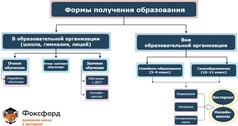 Возрастная категория и уровень образования