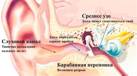 Воспаление кожи и ушной канал