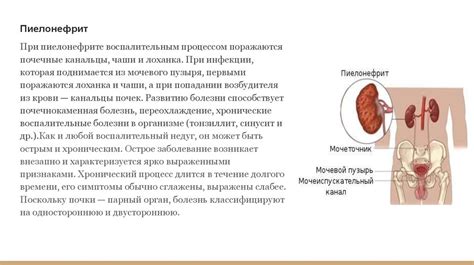 Воспалительные процессы в почках и повышение температуры