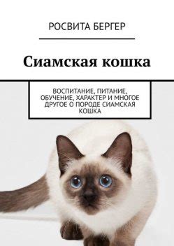 Воспитание и обучение кошки