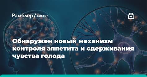 Восстановление и стабильность нейромедиаторов в мозге