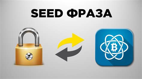 Восстановление кошелька Рапториум через использование seed-фразы: инструкция