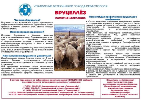 Восстановление новостей: секреты эффективного воспроизводства