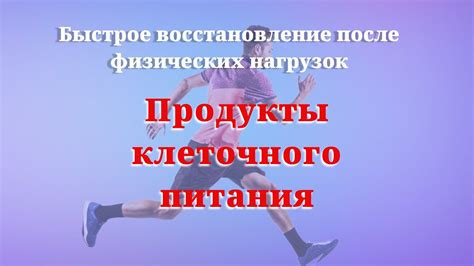 Восстановление сил и повышение концентрации