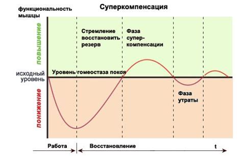 Восстановление хосты после августа: основные моменты