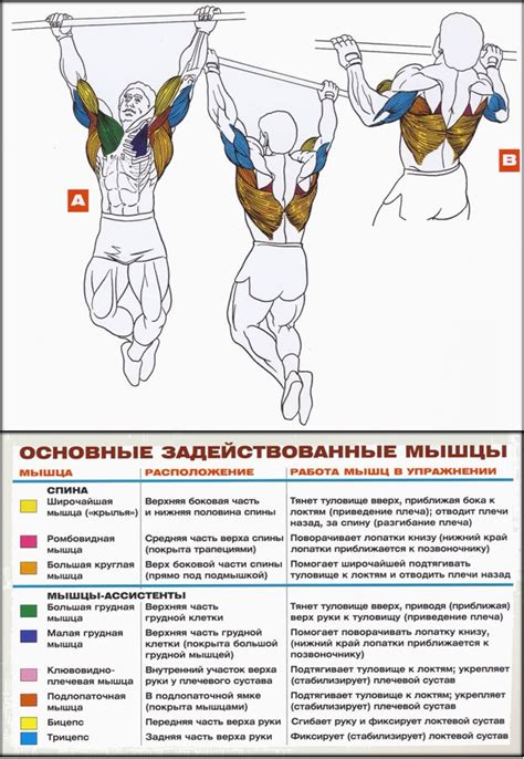 Восходящие подтягивания на гимнастической перекладине