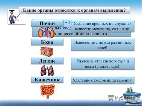 Вредные вещества, выделяемые горящим газом