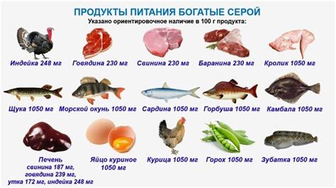 Вред диоксида серы в продуктах питания