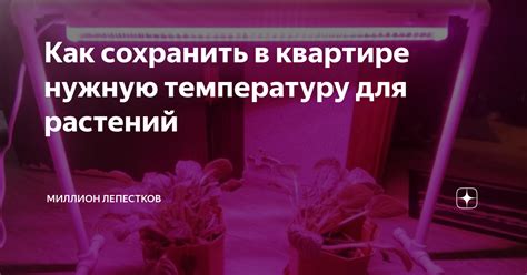 Выберите нужную температуру