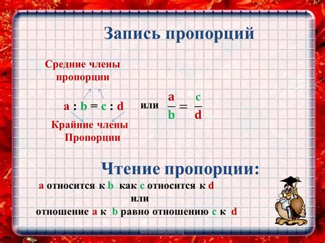 Выберите правильные пропорции