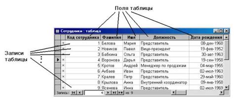 Выбор базы данных и таблицы для создания дампа