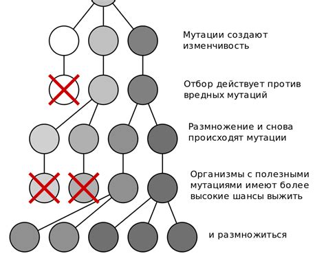 Выбор имени в соответствии с наследственными чертами