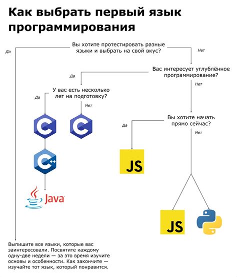 Выбор инструментов и языка программирования