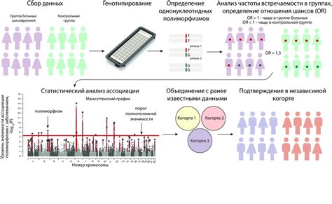 Выбор источника ДНК