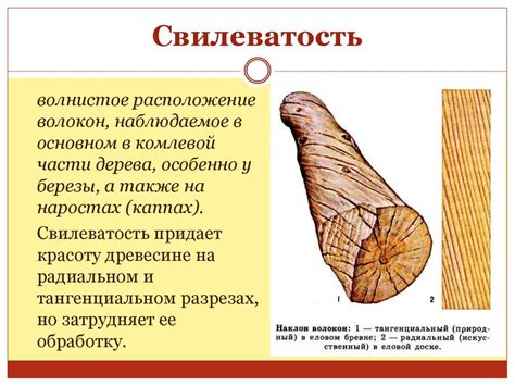 Выбор и заготовка древесины