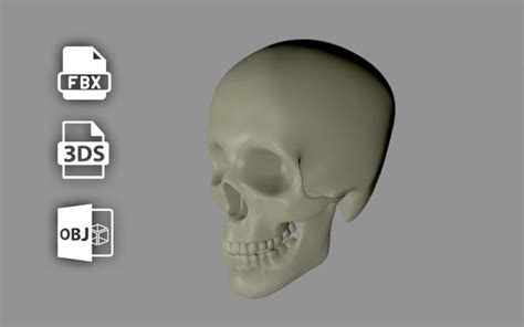 Выбор и загрузка 3D модели