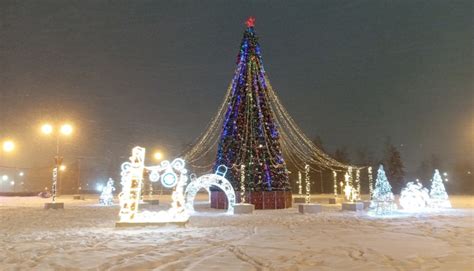 Выбор и подготовка брусники