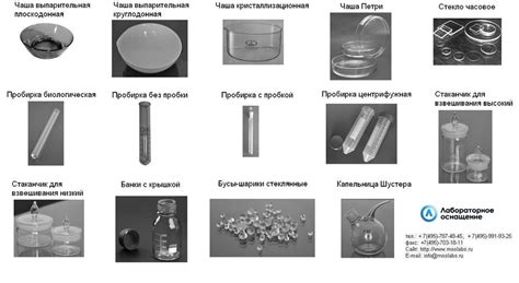 Выбор и приготовление дегустационной посуды