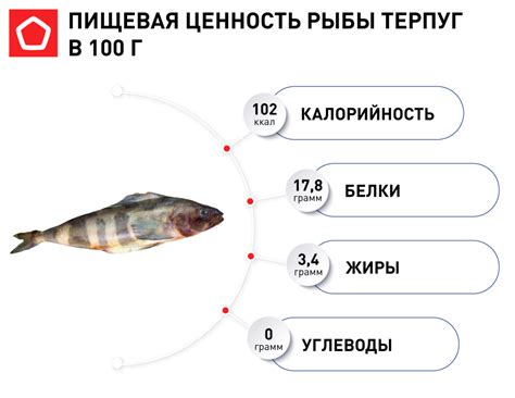 Выбор и приготовление рыбы терпуг