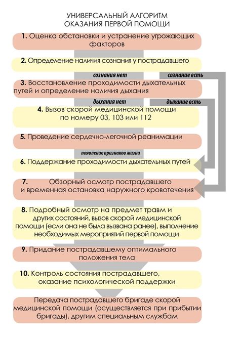 Выбор и приобретение нового ЗДТ