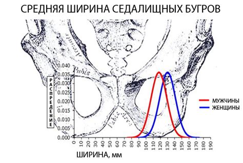 Выбор и размер седла