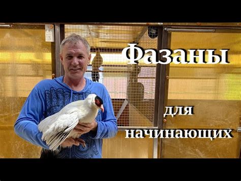 Выбор качественных особей