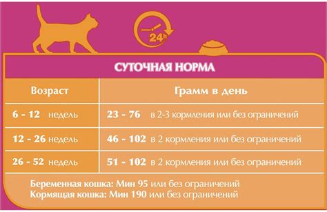 Выбор корма для вашего котенка