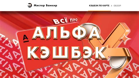 Выбор магазина с наибольшим процентом кэшбэка