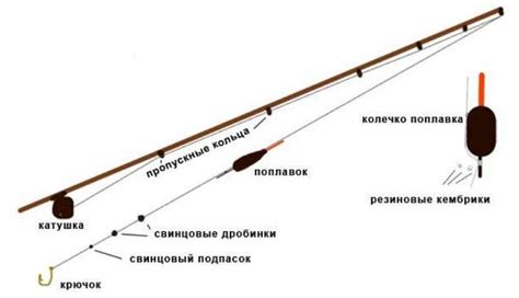 Выбор места для ловли и открытия змей