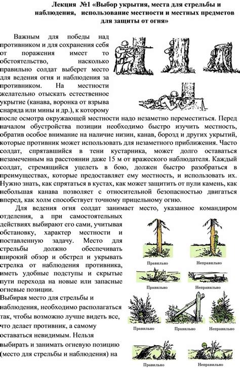 Выбор места для окапывания и укрытия растений