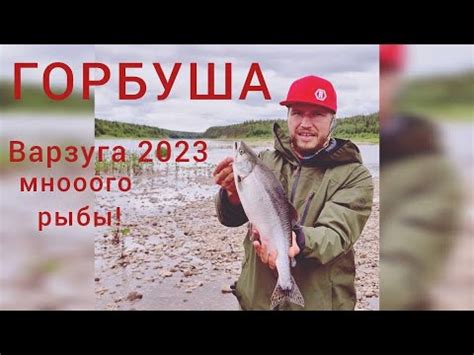 Выбор места для поймки горбуши